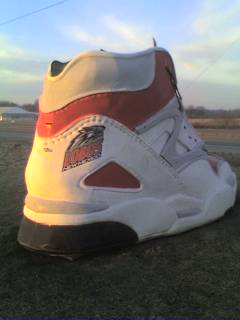 shoe