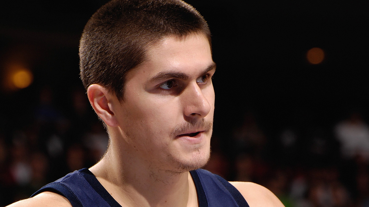 darko milicic punch horse